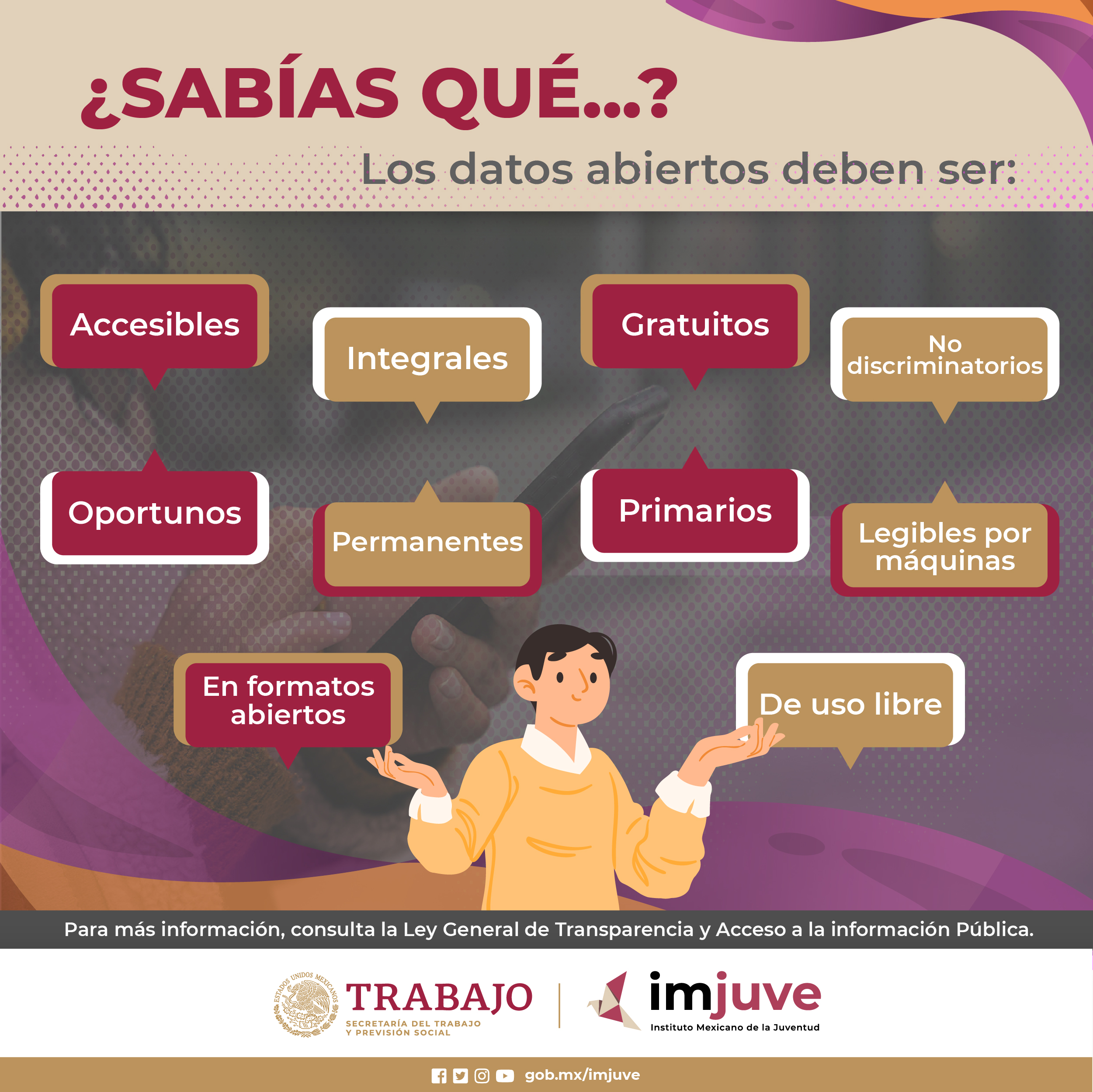 Infografia 3